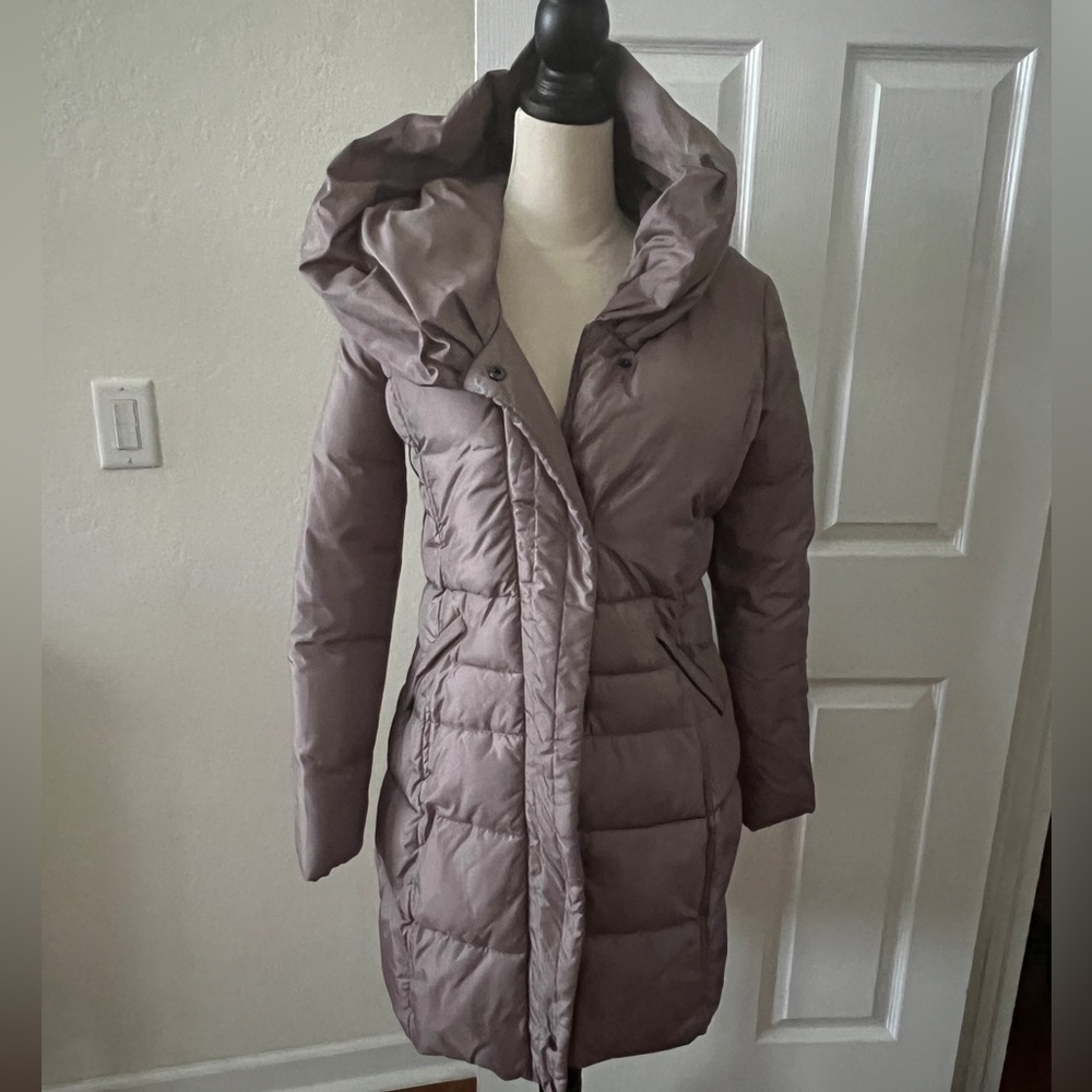 Winter Coat